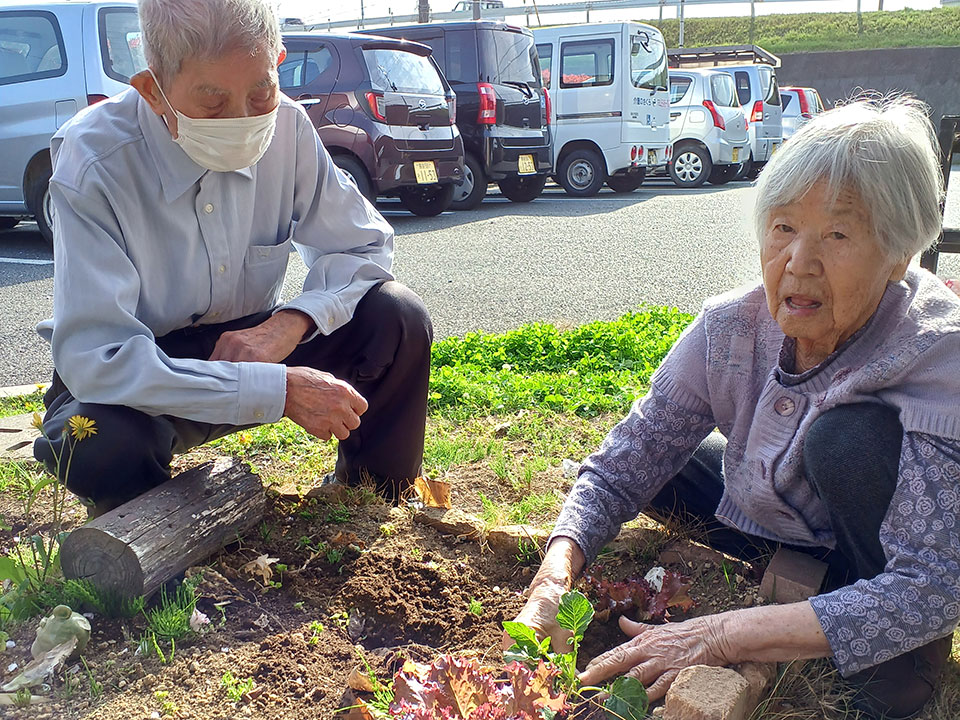 栽培した野菜の収穫