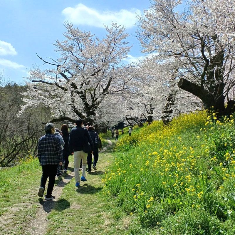 その他の活動