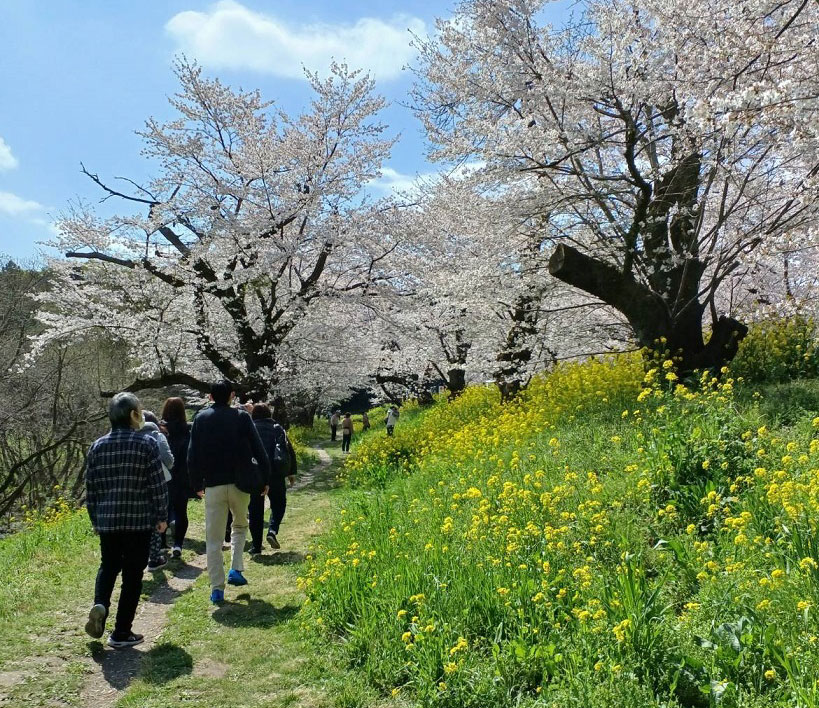 さくらんぼ（就労継続支援B型）